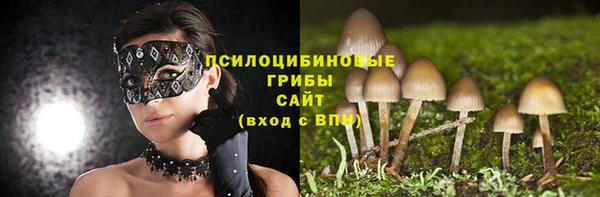мяу мяу кристалл Верея