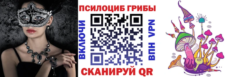 Галлюциногенные грибы Cubensis  купить наркоту  это как зайти  Медногорск 