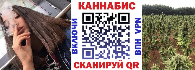 Бошки Шишки OG Kush  что такое   Медногорск 